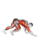 Animación de bear crawl