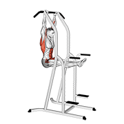 Animación de l-pull-up