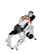 Animación de dumbbell incline y-raise