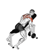 Animación de dumbbell incline t-raise