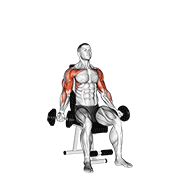 Animación de dumbbell seated biceps curl to shoulder press