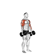 Animación de dumbbell standing alternate hammer curl and press