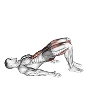Animación de glute bridge march