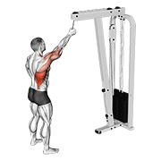 Animación de cable one arm pulldown