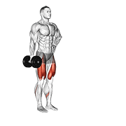 Animación de dumbbell contralateral forward lunge