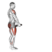 Animación de weighted lunge with swing