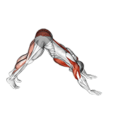Animación de pike-to-cobra push-up
