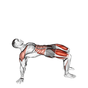 Animación de reverse plank with leg lift