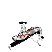 Animación de weighted decline sit-up