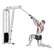 Animación de cable kneeling rear delt row (with rope) (male)