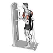 Animación de lever standing chest press