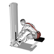 Animación de lever seated good morning
