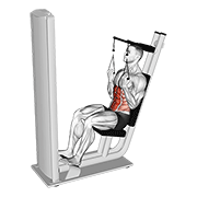 Animación de lever seated crunch v. 2