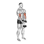 Animación de dumbbell waiter biceps curl